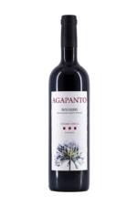 Agapanto Bolgheri Rosso