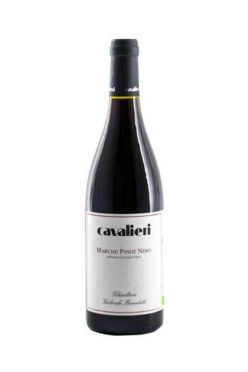 Marche Pinot Nero