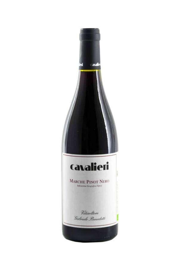 Marche Pinot Nero - immagine 1