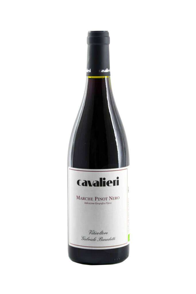 Marche Pinot Nero