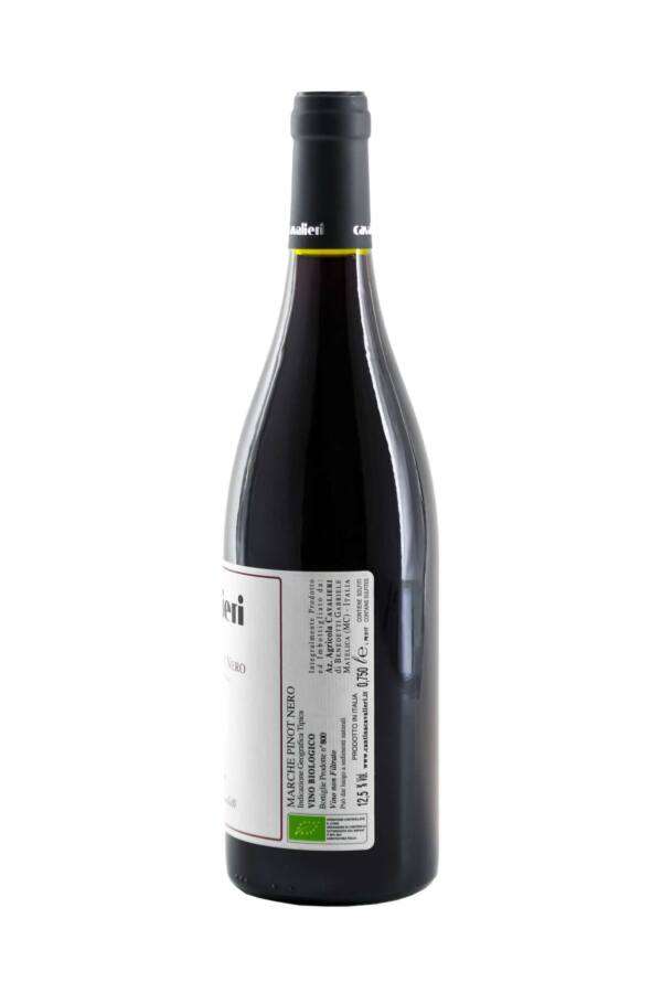 Marche Pinot Nero - immagine 2