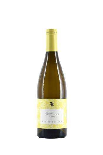 Malvasia Dis Cumieris
