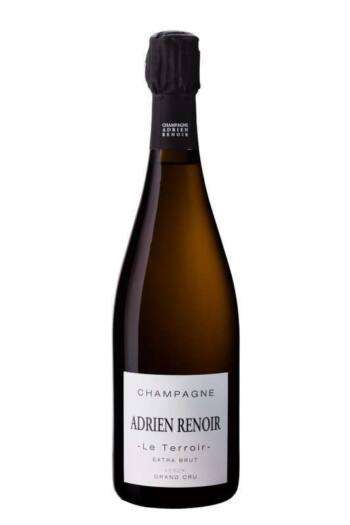 Champagne Le Terroir Verzy Grand Cru Extra Brut Magnum