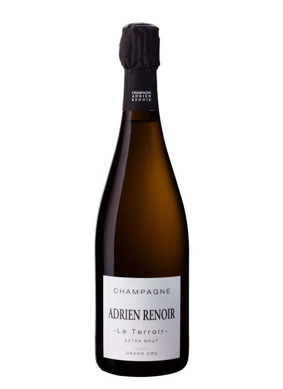 Champagne Le Terroir Verzy Grand Cru Extra Brut