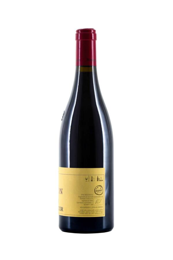 Pinot Nero Mason 2017 - immagine 2