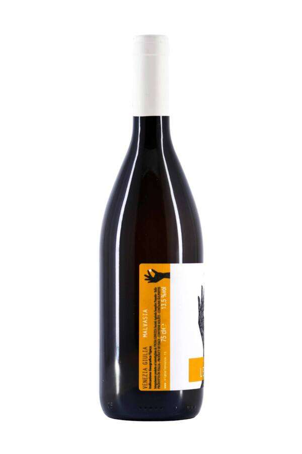 Malvasia Lenuzza - immagine 3