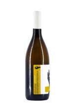Sauvignon - immagine 2