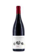 Syrah Cortona 2018