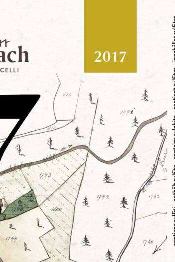 No.7