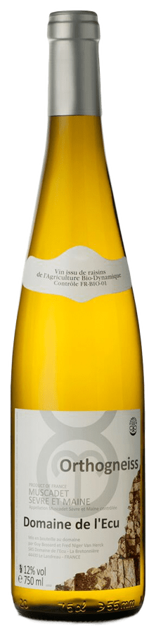 Muscadet Orthogneiss