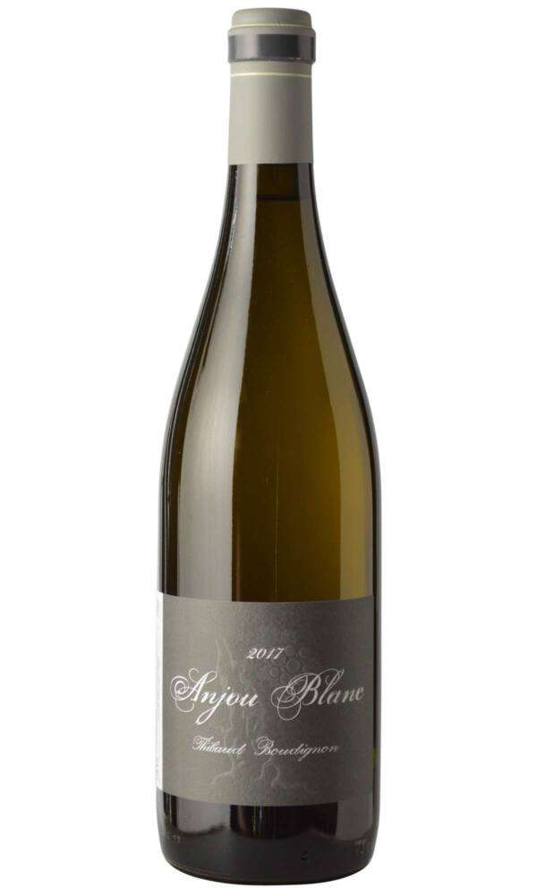 DSC_9925-Thibaud-Boudignon_Anjou-Blanc Anjou Blanc 2022 - immagine 1