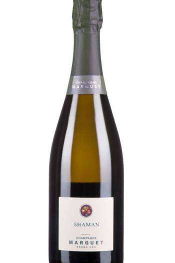 Champagne Shaman 16