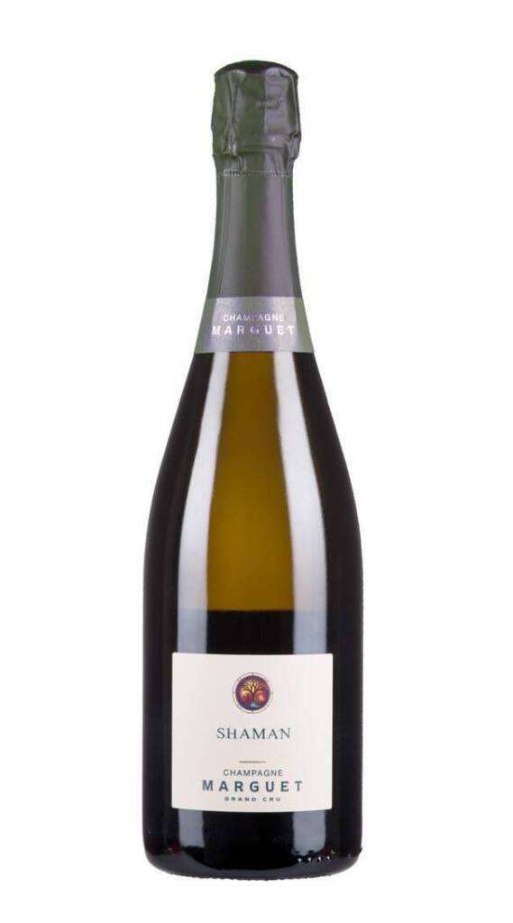 Champagne Shaman 16