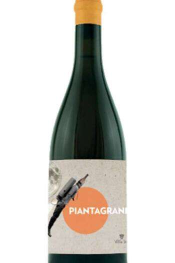 Pinot Grigio Piantagrane
