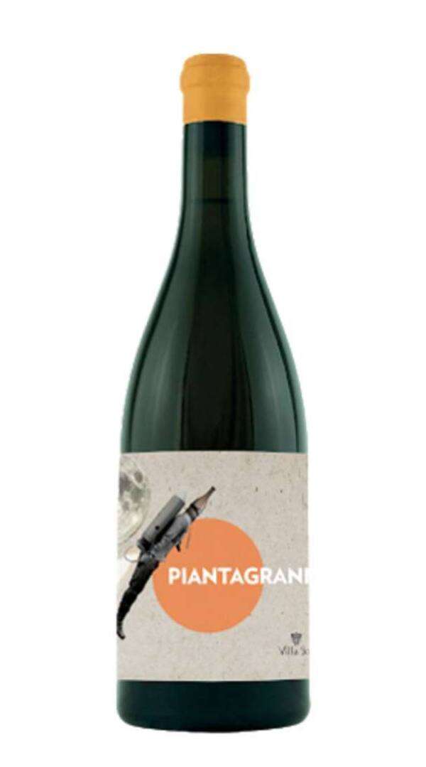 Pinot Grigio Piantagrane - immagine 1