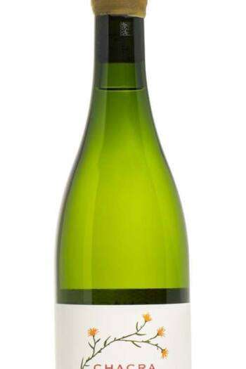 Chacra Chardonnay 2019