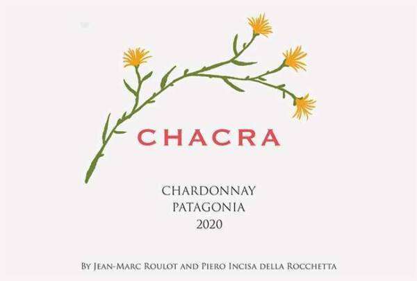 Chacra Chardonnay 2021 - immagine 2