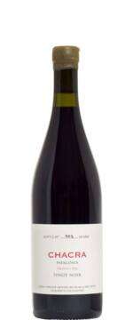 Pinot Noir Treinta y Dos 32 2020