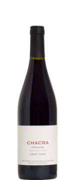 Pinot Noir Cincuenta y Cinco 55 2019