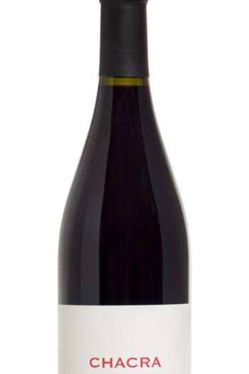 Pinot Noir Cincuenta y Cinco 55 2019