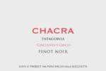 Pinot Noir Cincuenta y Cinco 55 2019 - immagine 2