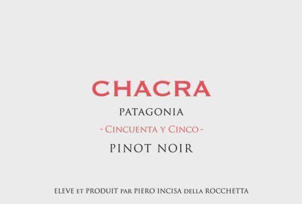 Pinot Noir Cincuenta y Cinco 55 2019 - immagine 2