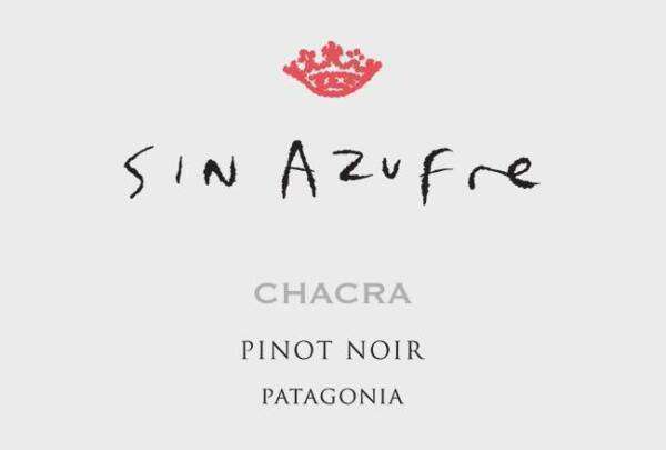 Pinot Noir Sin Azufre 2020 - immagine 2