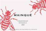 Chardonnay Mainqué 2021 - immagine 2