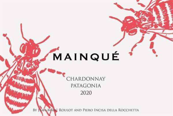 Chardonnay Mainqué 2021 - immagine 2
