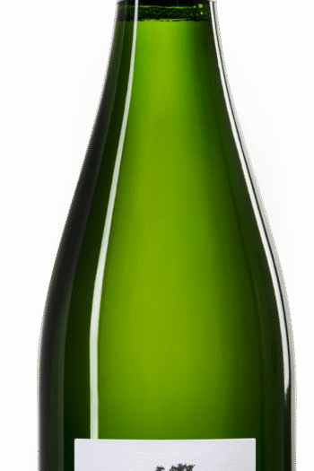 Champagne Les Vignes de Mon Village Blancs de Meunier