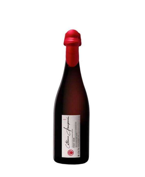 Fleury Coteaux Champenois Pinot Noir 2018 - immagine 1