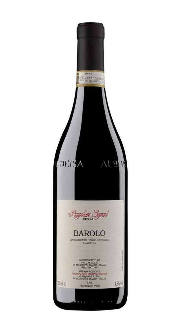 Barolo Bussia 2019 - immagine 1