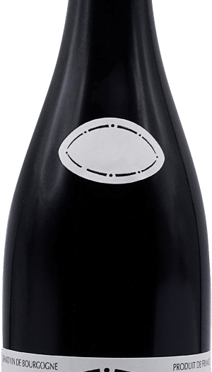 Gevrey-Chambertin Sylvie Esmonin 2020
