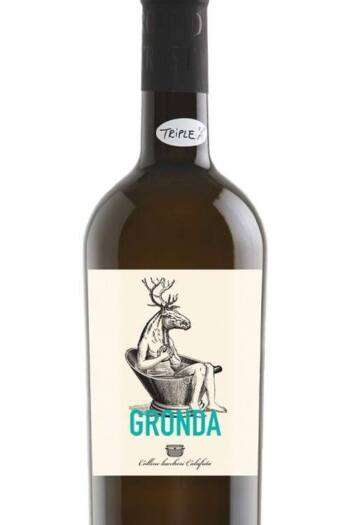Gronda 2021