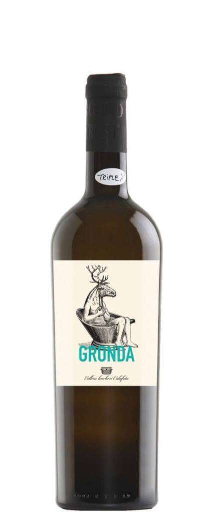 Gronda 2021